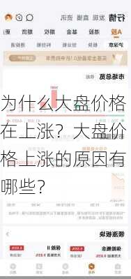 为什么大盘价格在上涨？大盘价格上涨的原因有哪些？