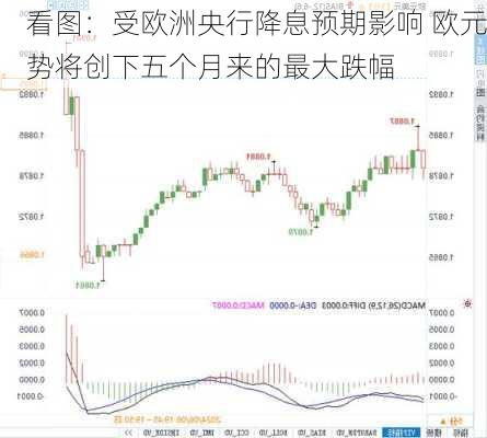 看图：受欧洲央行降息预期影响 欧元势将创下五个月来的最大跌幅