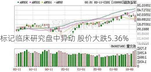 标记临床研究盘中异动 股价大跌5.36%