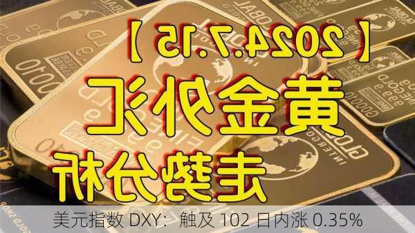 美元指数 DXY：触及 102 日内涨 0.35%