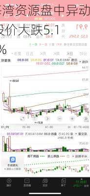 海湾资源盘中异动 股价大跌5.15%