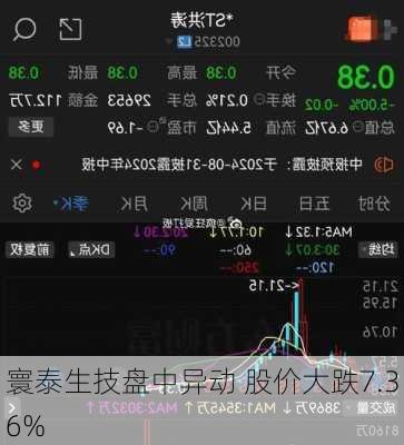 寰泰生技盘中异动 股价大跌7.36%