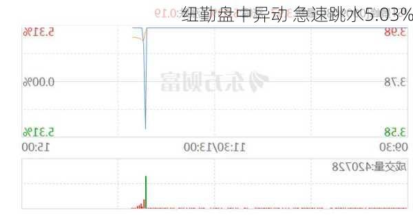 纽勤盘中异动 急速跳水5.03%