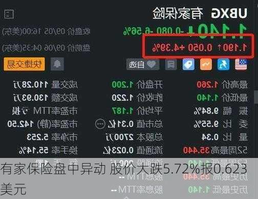 有家保险盘中异动 股价大跌5.72%报0.623美元