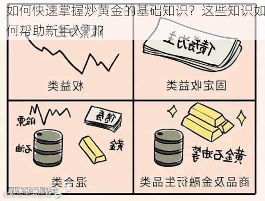 如何快速掌握炒黄金的基础知识？这些知识如何帮助新手入门？