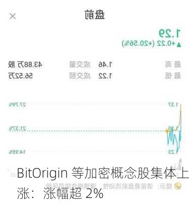 BitOrigin 等加密概念股集体上涨：涨幅超 2%