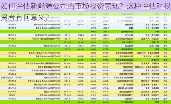 如何评估新能源公司的市场投资表现？这种评估对投资者有何意义？