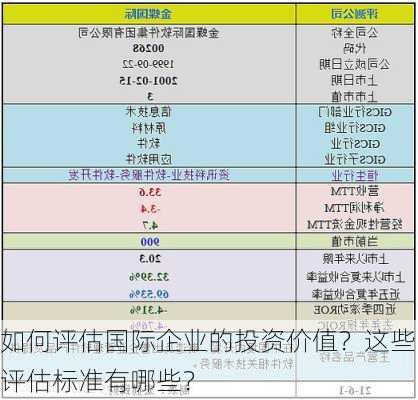 如何评估国际企业的投资价值？这些评估标准有哪些？