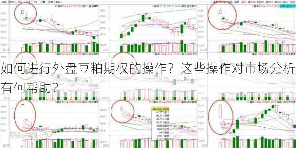 如何进行外盘豆粕期权的操作？这些操作对市场分析有何帮助？