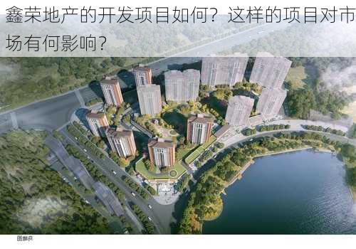 鑫荣地产的开发项目如何？这样的项目对市场有何影响？