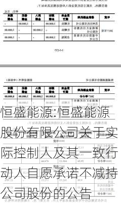 恒盛能源:恒盛能源股份有限公司关于实际控制人及其一致行动人自愿承诺不减持公司股份的公告