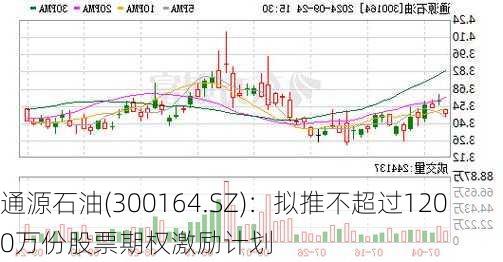 通源石油(300164.SZ)：拟推不超过1200万份股票期权激励计划