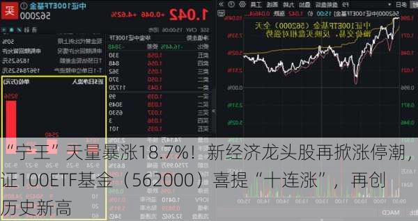 “宁王”天量暴涨18.7%！新经济龙头股再掀涨停潮，中证100ETF基金（562000）喜提“十连涨”，再创历史新高