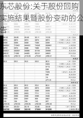 东芯股份:关于股份回购实施结果暨股份变动的公告