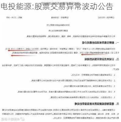 电投能源:股票交易异常波动公告