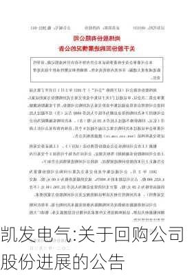 凯发电气:关于回购公司股份进展的公告