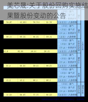 美芯晟:关于股份回购实施结果暨股份变动的公告