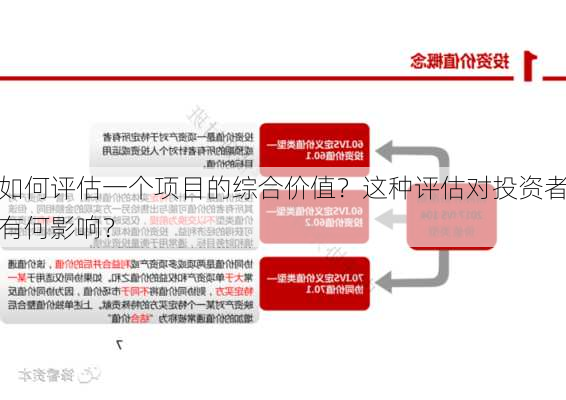 如何评估一个项目的综合价值？这种评估对投资者有何影响？