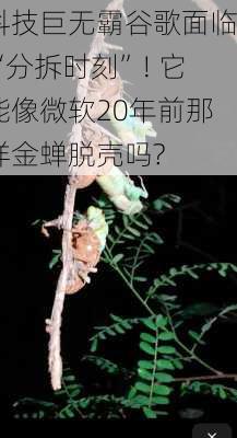 科技巨无霸谷歌面临“分拆时刻”! 它能像微软20年前那样金蝉脱壳吗?