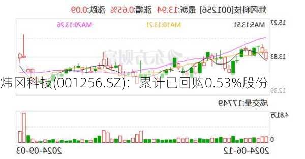 炜冈科技(001256.SZ)：累计已回购0.53%股份