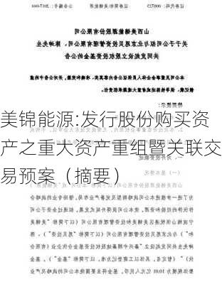 美锦能源:发行股份购买资产之重大资产重组暨关联交易预案（摘要）