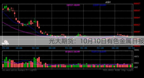 光大期货：10月10日有色金属日报