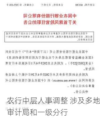 农行中层人事调整 涉及多地审计局和一级分行