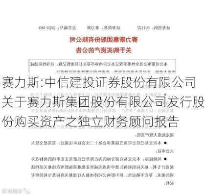 赛力斯:中信建投证券股份有限公司关于赛力斯集团股份有限公司发行股份购买资产之独立财务顾问报告