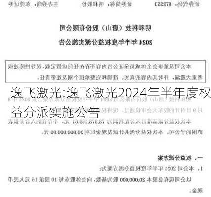 逸飞激光:逸飞激光2024年半年度权益分派实施公告