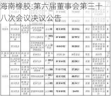 海南橡胶:第六届董事会第三十八次会议决议公告