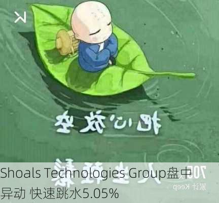 Shoals Technologies Group盘中异动 快速跳水5.05%