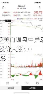 泛美白银盘中异动 股价大涨5.02%