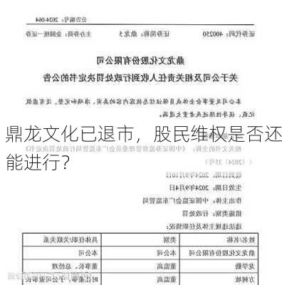 鼎龙文化已退市，股民维权是否还能进行？