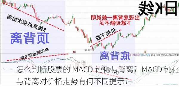 怎么判断股票的 MACD 钝化与背离？MACD 钝化与背离对价格走势有何不同提示？