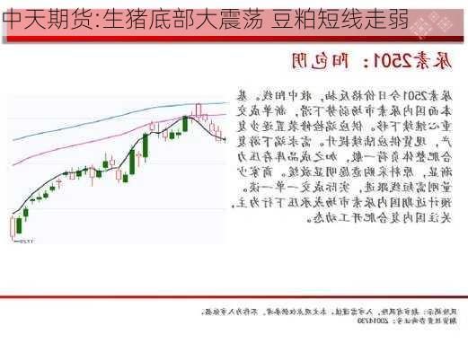 中天期货:生猪底部大震荡 豆粕短线走弱