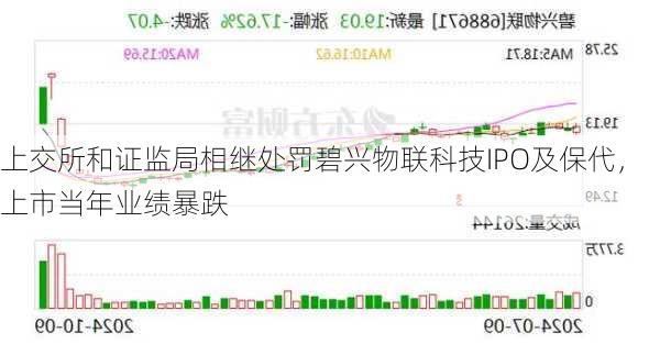 上交所和证监局相继处罚碧兴物联科技IPO及保代，上市当年业绩暴跌