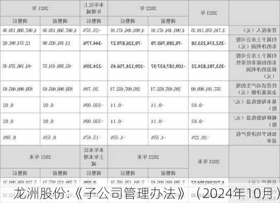 龙洲股份:《子公司管理办法》（2024年10月）