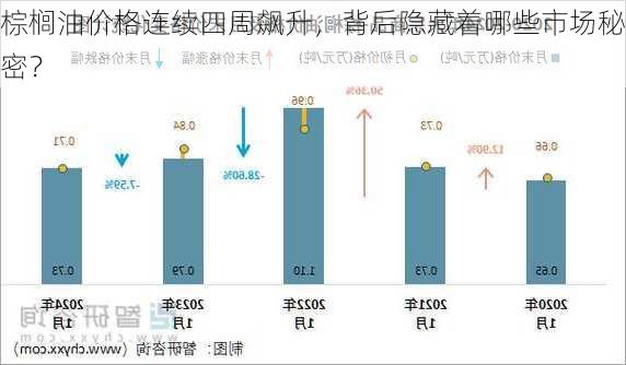 棕榈油价格连续四周飙升，背后隐藏着哪些市场秘密？