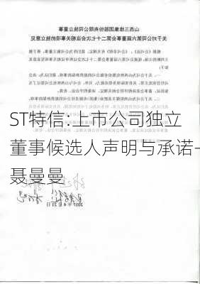 ST特信:上市公司独立董事候选人声明与承诺-聂曼曼