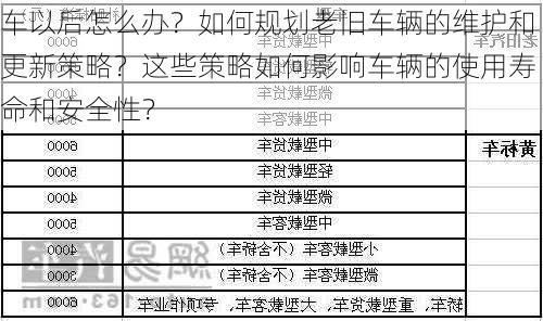 车以后怎么办？如何规划老旧车辆的维护和更新策略？这些策略如何影响车辆的使用寿命和安全性？