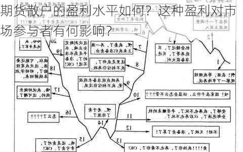 期货散户的盈利水平如何？这种盈利对市场参与者有何影响？