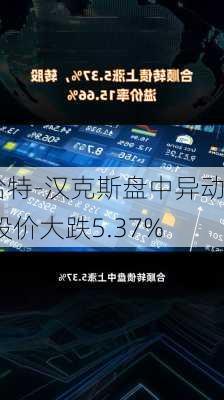 哈特-汉克斯盘中异动 股价大跌5.37%