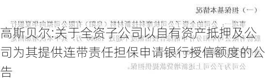 高斯贝尔:关于全资子公司以自有资产抵押及公司为其提供连带责任担保申请银行授信额度的公告