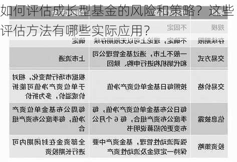 如何评估成长型基金的风险和策略？这些评估方法有哪些实际应用？