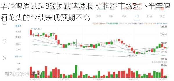 华润啤酒跌超8%领跌啤酒股 机构称市场对下半年啤酒龙头的业绩表现预期不高