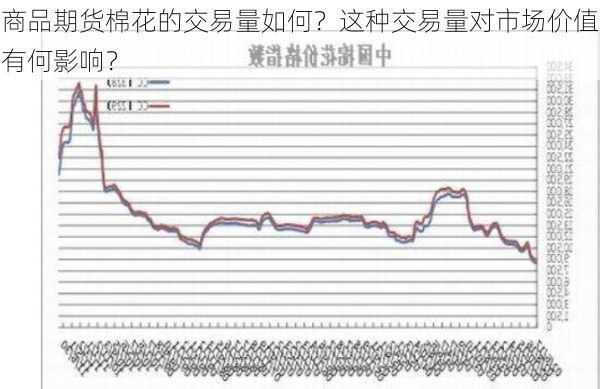 商品期货棉花的交易量如何？这种交易量对市场价值有何影响？