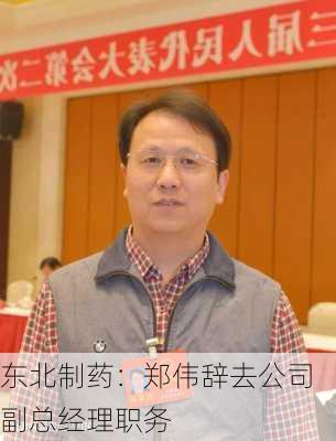 东北制药：郑伟辞去公司副总经理职务