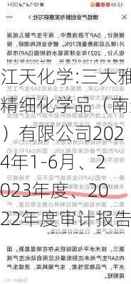 江天化学:三大雅精细化学品（南通）有限公司2024年1-6月、2023年度、2022年度审计报告