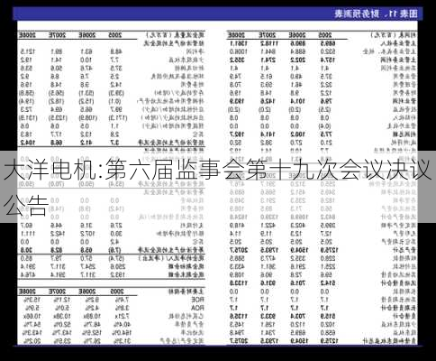 大洋电机:第六届监事会第十九次会议决议公告