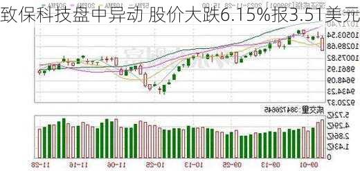 致保科技盘中异动 股价大跌6.15%报3.51美元